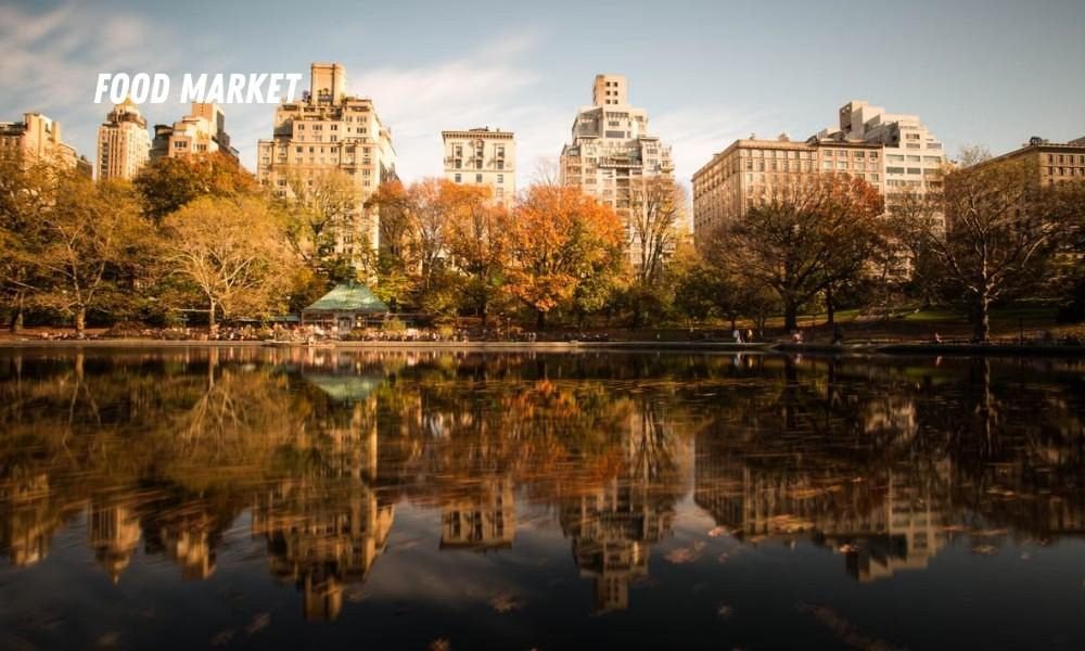 Discover smart Budget Travel Tips for Expensive USA Cities while exploring scenic urban skylines and peaceful park waterfronts alone.