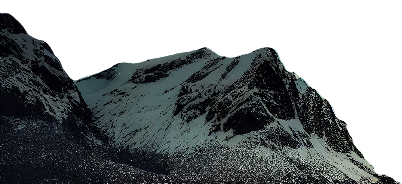 mt1 f